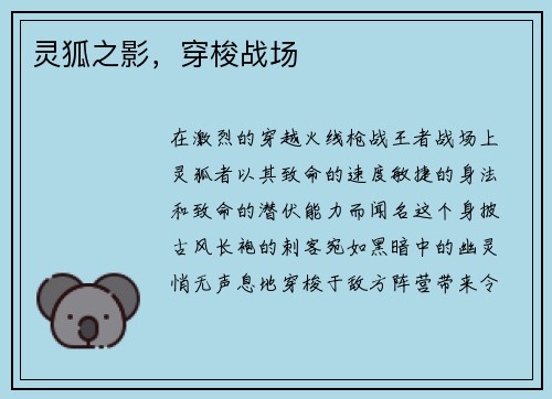 灵狐之影,穿梭战场