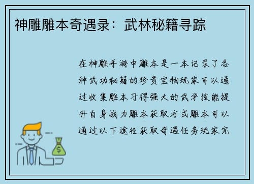 神雕雕本奇遇录:武林秘籍寻踪